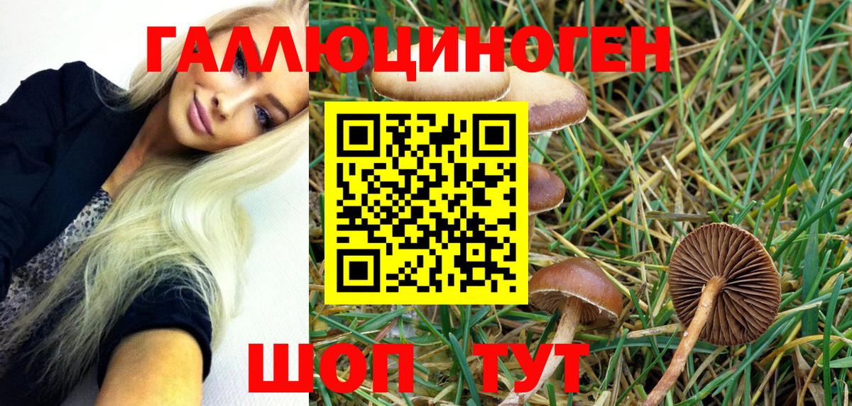 Псилоцибиновые грибы мухоморы Дубна