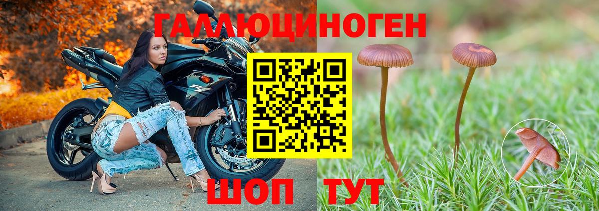Псилоцибиновые грибы Cubensis  Вход с VPN  Дубна  Псилоцибиновые грибы Magic Shrooms 