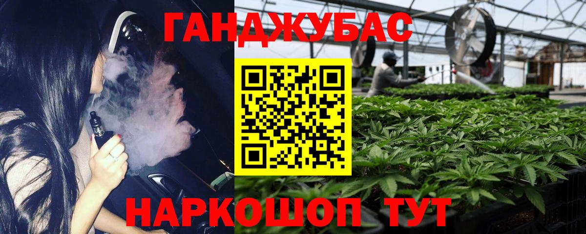 Шишки марихуана планчик  Вход с VPN  Дубна  Канабис SATIVA & INDICA 